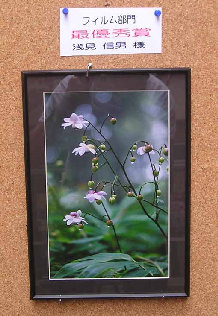 mtmitake006035.jpg