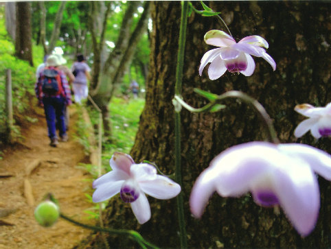 mtmitake013001.jpg