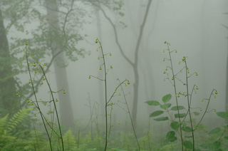 mtmitake027007.jpg