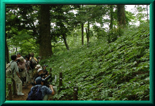 mtmitake029007.jpg