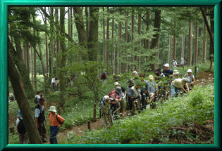 mtmitake029008.jpg