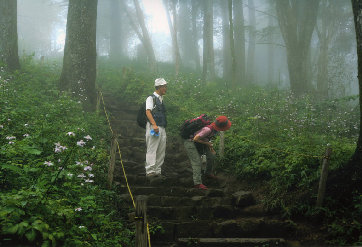 mtmitake032001.jpg